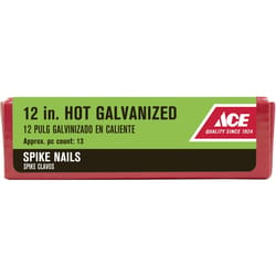 Ace 12 in. Spike Hot-Dipped Galvanized Steel Nail Diamond Head 5 lb