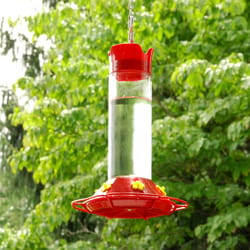 Perky-Pet Hummingbird 30 oz Glass/Plastic Nectar Feeder 6 ports