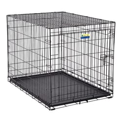 Pet Essentials Large Steel Dog Crate Black 30 in. H X 28 in. W X 42 in. D