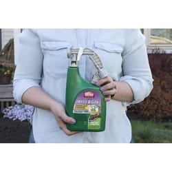 Ortho Weed B Gon Chickweed Killer RTS Hose-End Concentrate 32 oz