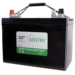 Zoeller Deep Cycle Battery