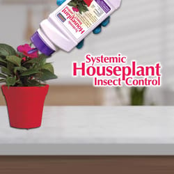 Bonide Systemic Houseplant Insect Killer Granules 8 oz