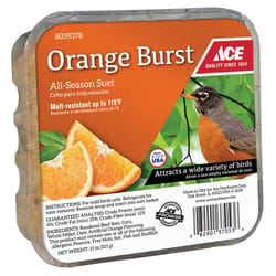 Ace Orange Burst Assorted Species Beef Suet 11 oz