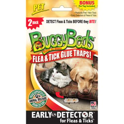 BuggyBeds Glue Trap For Fleas/Ticks 2 pk