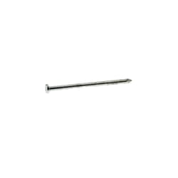 Grip-Rite 40D 5 in. Common Hot-Dipped Galvanized Steel Nail Flat Head 50 lb