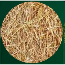 Rhino Seed EZ-Straw Natural Straw Seeding Mulch 1 cu ft