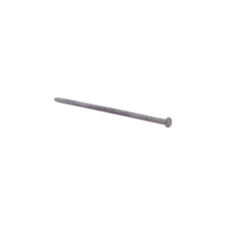 Grip-Rite 8 in. Spike Hot-Dipped Galvanized Steel Nail Flat Head 50 lb