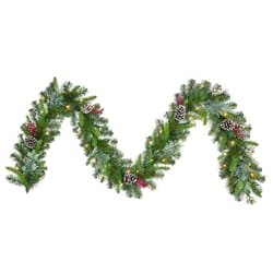 Celebrations 12 in. D X 9 ft. L LED Prelit Warm White Icy Mixed Pine Garland
