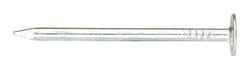 Ace 1-1/2 in. Roofing Electro-Galvanized Steel Nail Large Head 1 lb