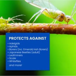 BioAdvanced Protect & Feed Concentrate 32 oz