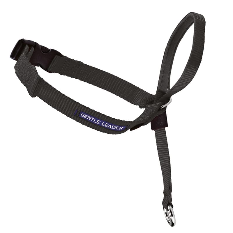 Photo 1 of PetSafe Gentle Leader Headcollar, Large Black