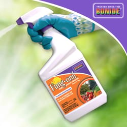 Bonide Fung-Onil Liquid Fungicide 32 oz