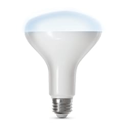 飞特电动BR30 E26(中型)智能WiFi LED灯泡日光65w 1 pk