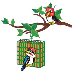 C&S产品啄木鸟处理各种种类的牛肉板油野生鸟类食物11盎司