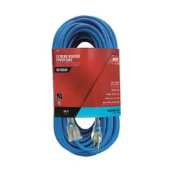 Ace Outdoor 100 ft. L Blue Extension Cord 14/3 SJOW