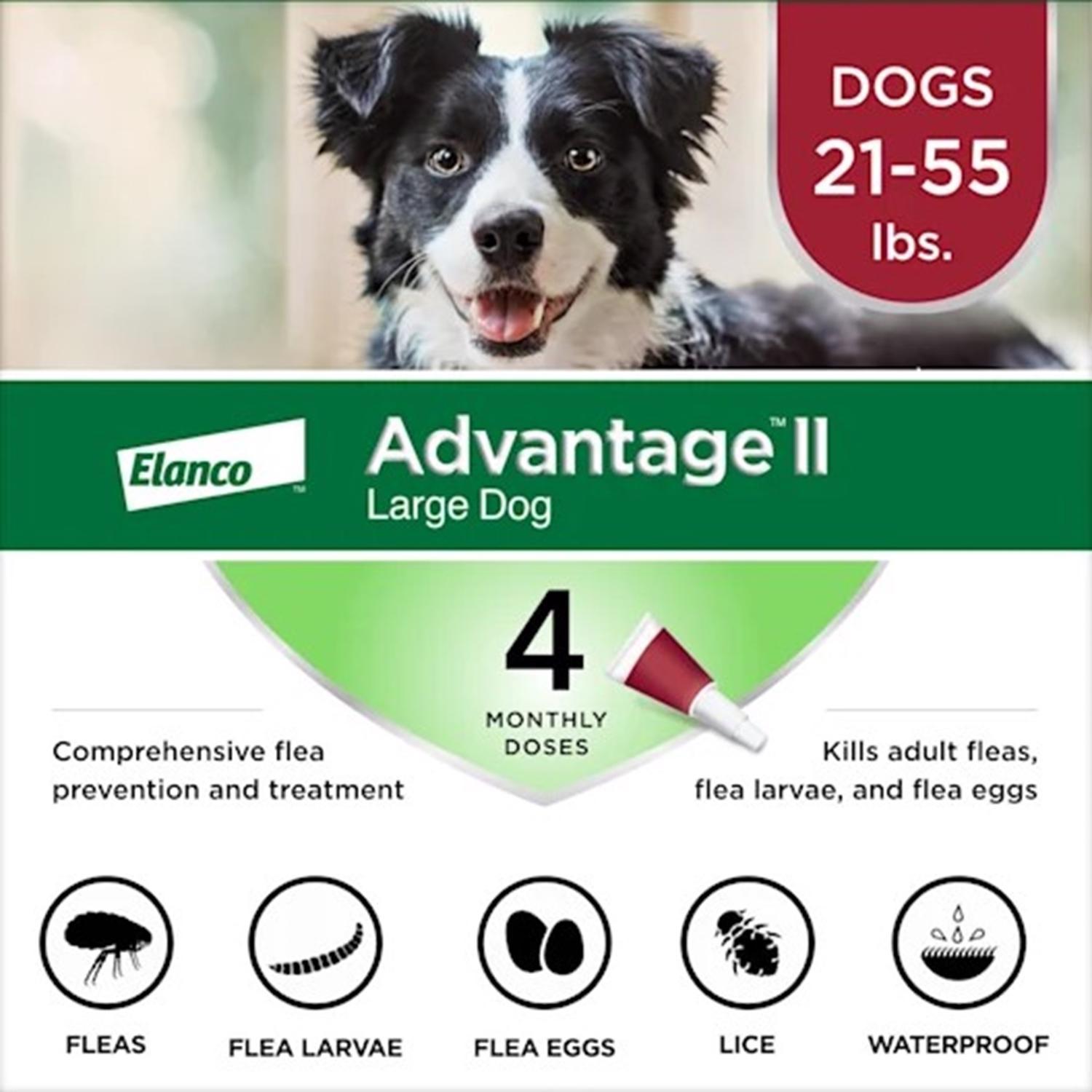 Photo 1 of ***NON REFUNDABLE*** Elanco Advantage II Liquid Dog Flea Drops Imidacloprid/Pyriproxyfen 4 pk