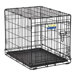 Pet Essentials Small Steel Dog Crate Black 18 in. H X 18 in. W X 24 in. D
