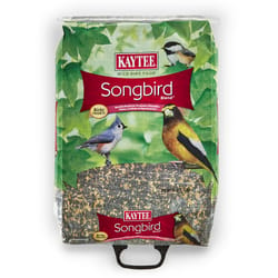 Kaytee Songbird Songbird黑油向日葵种子野生鸟类食物14磅