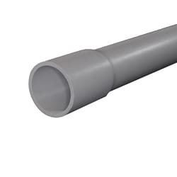 Cantex 3 in. D X 10 ft. L PVC Electrical Conduit For Rigid