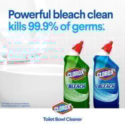 Clorox Fresh Scent Toilet Bowl Cleaner 24 oz Gel