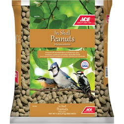 Ace In-Shell Peanuts Wild Bird In-Shell Peanuts In-Shell Peanuts 5 lb