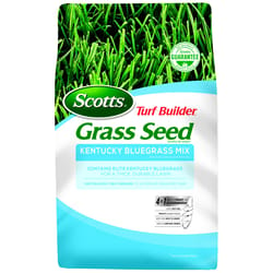斯科特草坪建设者肯塔基蓝草阳光或遮荫草种子3磅