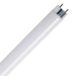 Feit Legacy Bulb 32 W T8 1 in. D X 47.6 in. L Fluorescent Bulb Cool White Linear 4100 K 2 pk