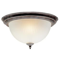 Westinghouse 14 in. L Ceiling Light