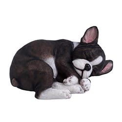 Exhart Resin Black/White 11 in. French Bulldog Laying Garden Statue