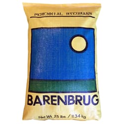 巴伦布鲁格多年生黑麦草全太阳草种子25磅