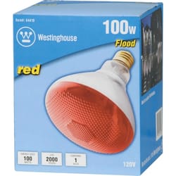 Westinghouse 100 W E26 Reflector Incandescent Bulb E26 (Medium) Red 1 pk