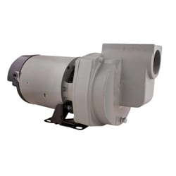 Star Water Systems 2 HP 4309 gph Cast Iron Sprinkler Pump