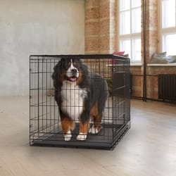 Pet Essentials Extra Large Steel Dog Crate Black 32.5 in. H X 30.25 in. W X 48.75 in. D