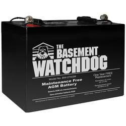 Basement Watchdog 9 in. H X 10-1/4 in. W X 6-1/2 in. L Maintenance Free Battery