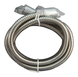 Ace Chrome Stainless Steel 72 in. Shower Hose