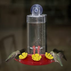 Perky-Pet Hummingbird 8 oz Plastic Window-Mount Nectar Feeder 3 ports
