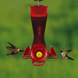 Perky-Pet Hummingbird 8 oz Plastic Pinch Waist Nectar Feeder 4 ports