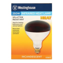 Westinghouse 250 W R40 Reflector/Heat Lamp Incandescent Bulb E26 (Medium) Red 1 pk