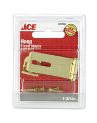 Ace Bright Brass 1-3/4 in. L Fixed Staple Safety Hasp