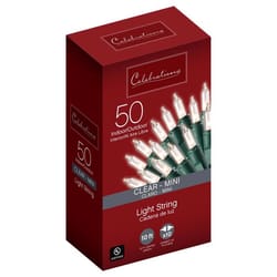 Celebrations Red Incandescent Mini Clear 50 ct String Christmas Lights 10.2 ft.