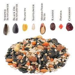 Songbird Selections Berry Burst with Mixed Nuts Wild Bird Seed Wild Bird Food 5 lb
