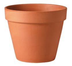 Deroma 5.7 in. H X 6 in. D Clay Traditional Planter Terracotta