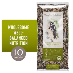 Songbird Selections Perfect Balance with Peanuts Wild Bird Seed Wild Bird Food 10 lb