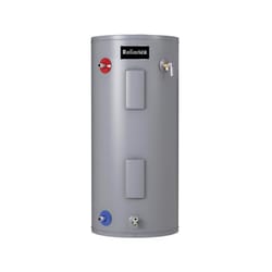 Reliance 30 gal 3800 W Electric Water Heater