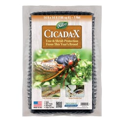 Dalen 14 ft. L X 14 ft. W 1 pk Cicada Netting