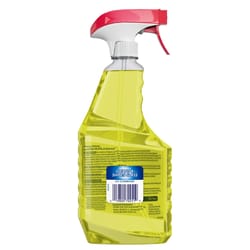 Windex Fresh Citrus Scent Multi-Surface Cleaner Liquid 23 oz