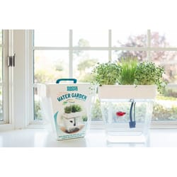 Back to the Roots Water Garden Assorted Flower and Herb Grow Kit 1 pk