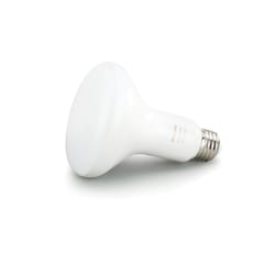 Philips Hue BR30 E26 (Medium) Smart-Enabled LED Bulb Color Changing 65 Watt Equivalence 1 pk