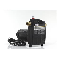 Wayne 1/2 HP 1600 gph Cast Iron Switchless Switch Bottom AC Transfer Pump