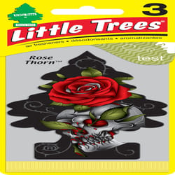 Little Trees Rose Thorn Scent Air Freshener 3 pk
